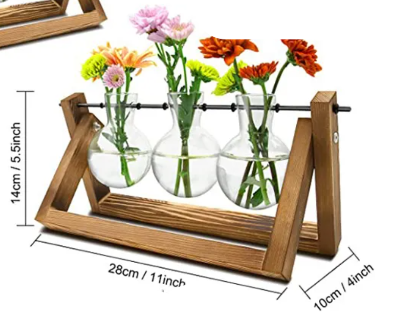 Plant Terrarium with Wooden Stand